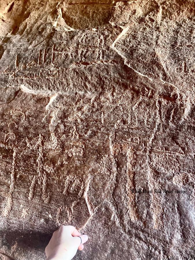 Wadi Rum Silk Road Camp المظهر الخارجي الصورة