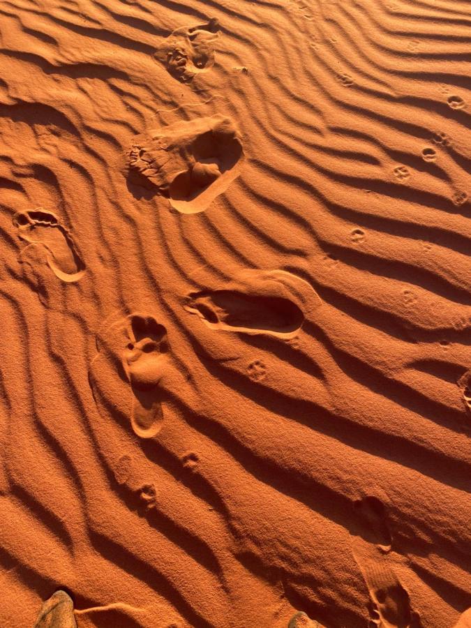 Wadi Rum Silk Road Camp المظهر الخارجي الصورة