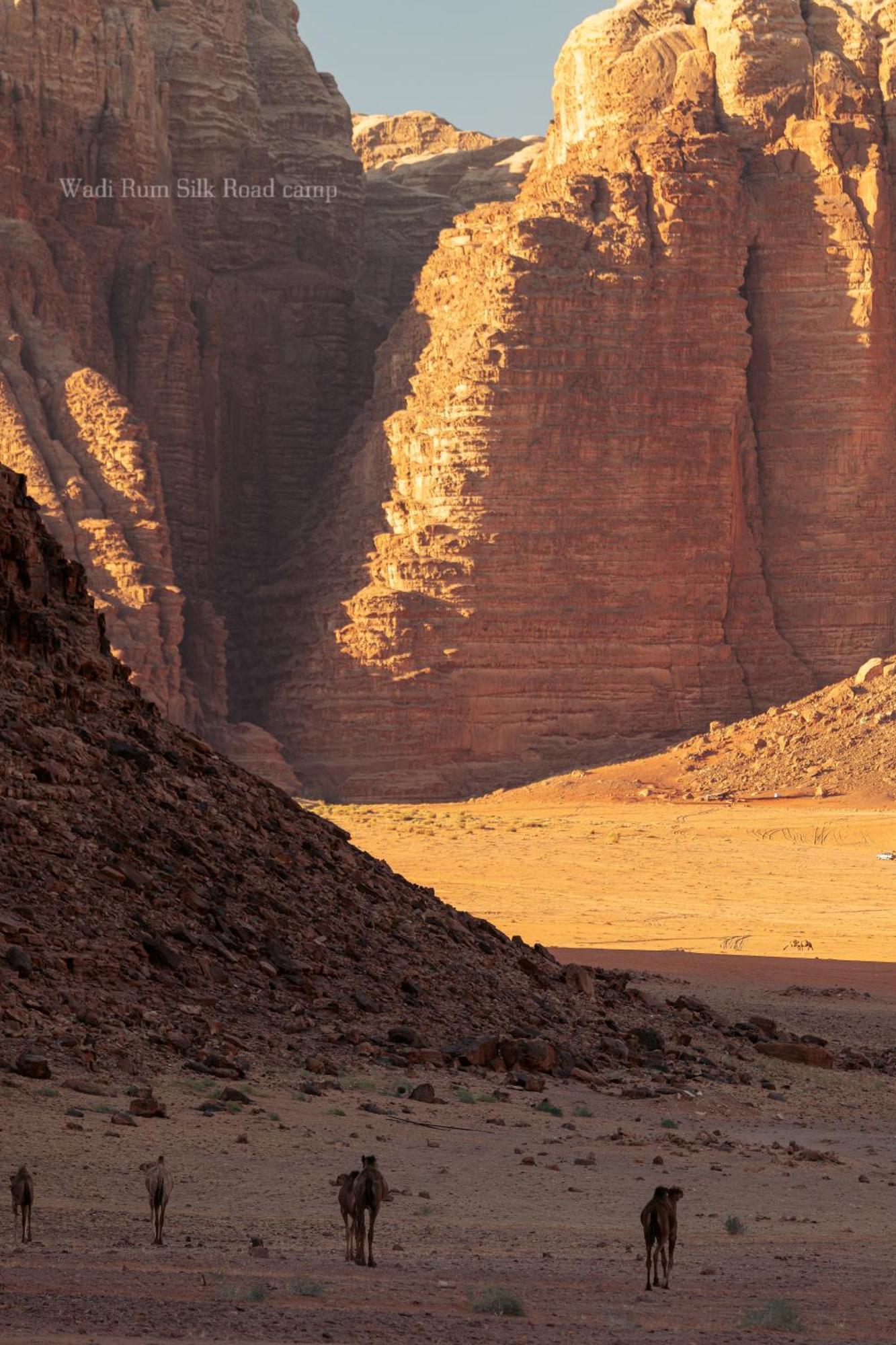 Wadi Rum Silk Road Camp المظهر الخارجي الصورة